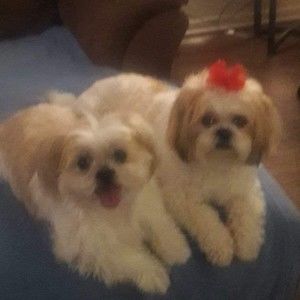 Meet your Posher, Sharron